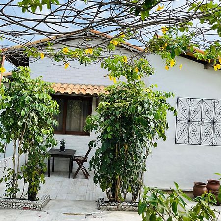 Apartamento Casa Tua Pipa - Chále 1 Praia de Pipa Exterior foto