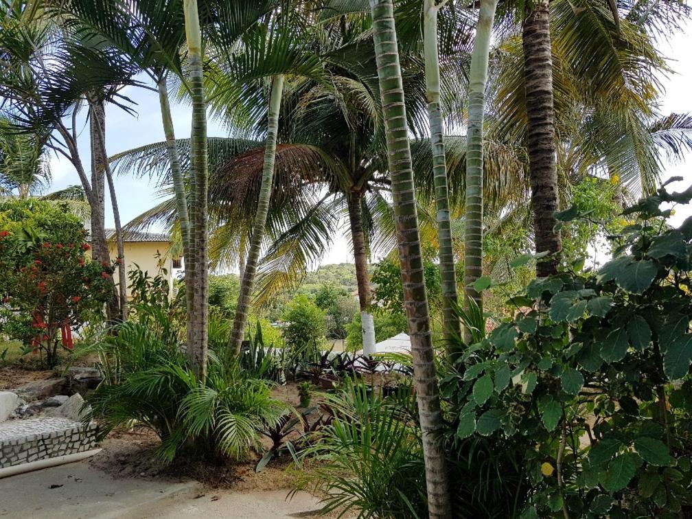 Apartamento Casa Tua Pipa - Chále 1 Praia de Pipa Exterior foto
