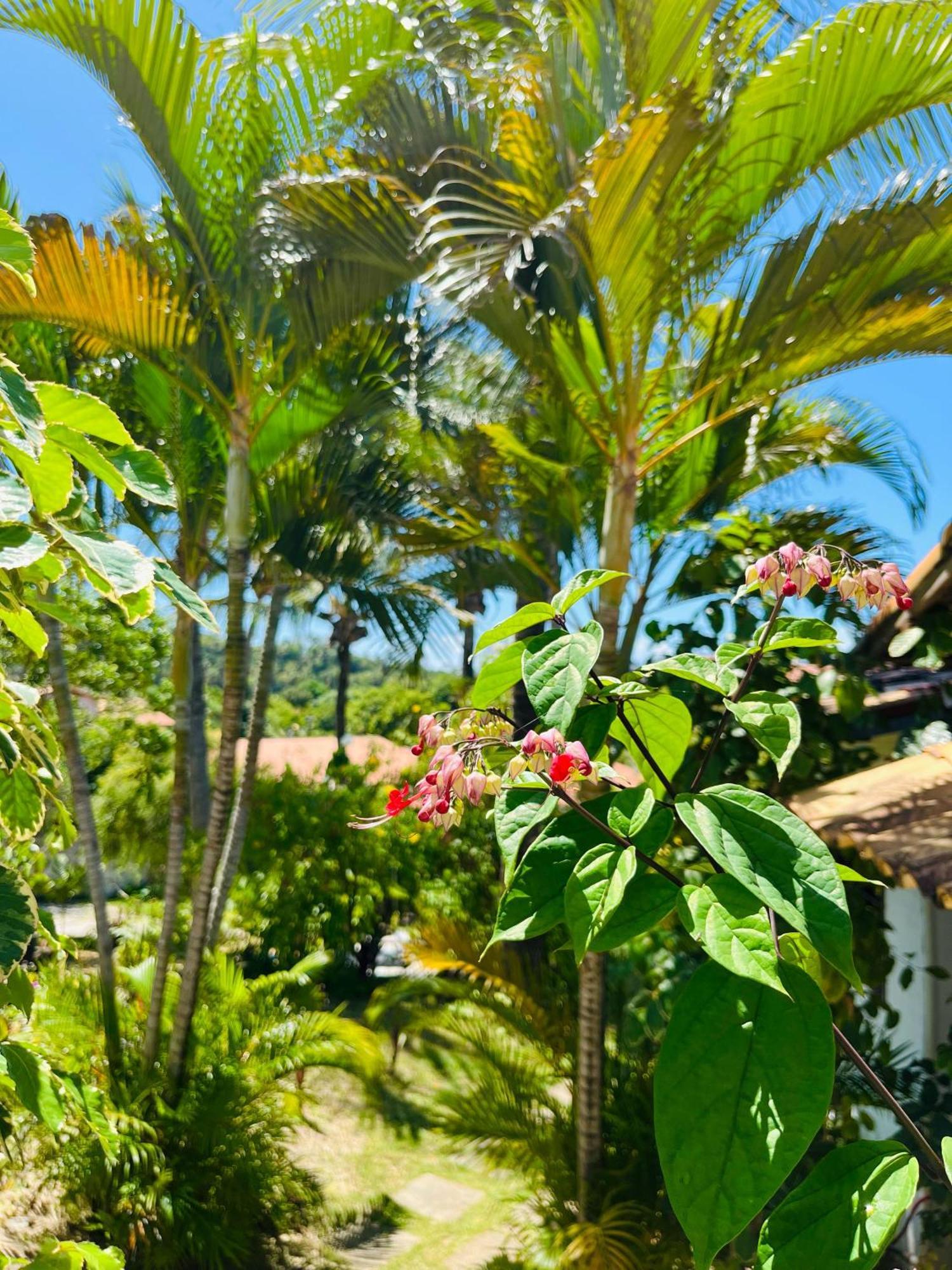Apartamento Casa Tua Pipa - Chále 1 Praia de Pipa Exterior foto