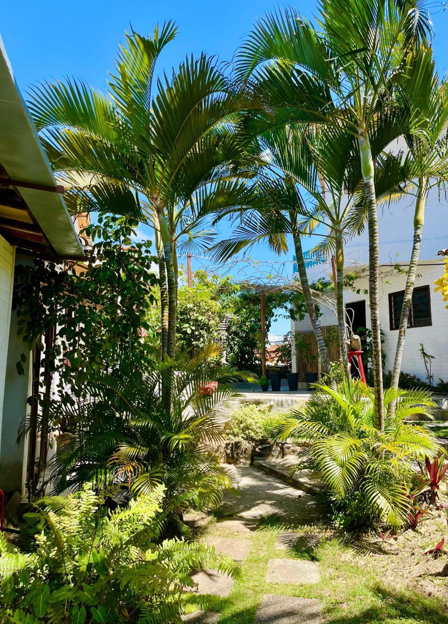 Apartamento Casa Tua Pipa - Chále 1 Praia de Pipa Exterior foto